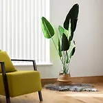Fusion Apartments