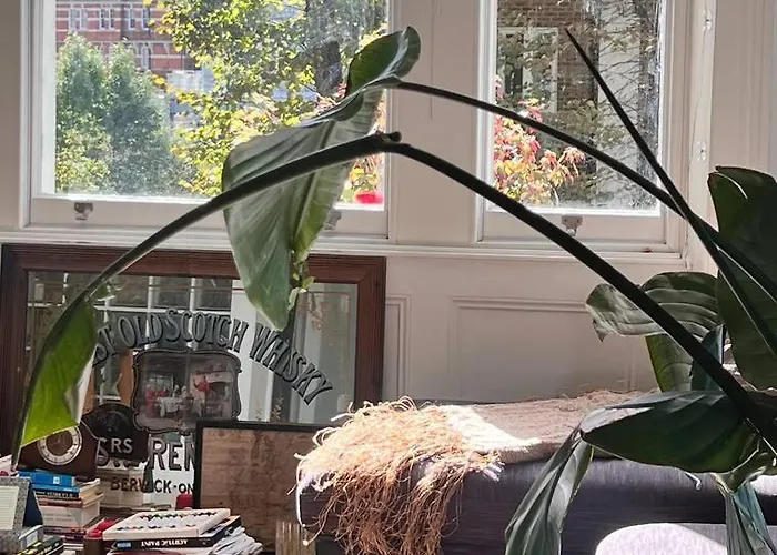 Lovely Flat Near Holland Park