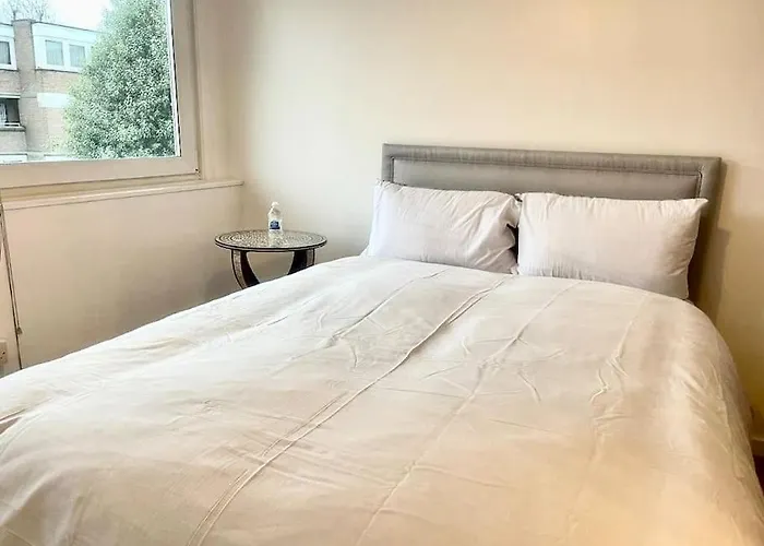 Newly Renovated 2 Bedroom Apartment