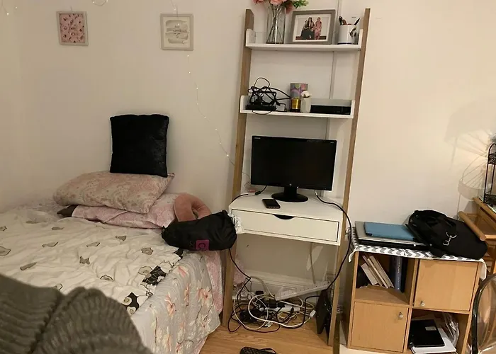 Studio Flat In Stratford