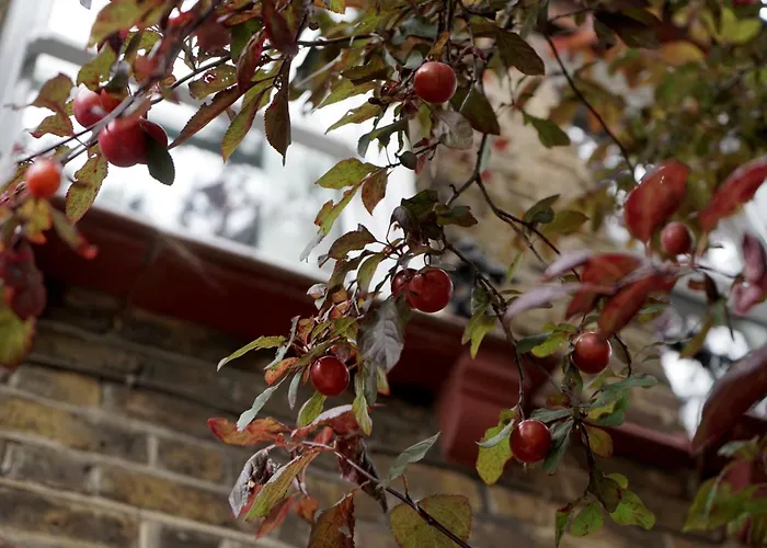 Beautiful London Home Sleeps 6, 2 Minutes To Metro
