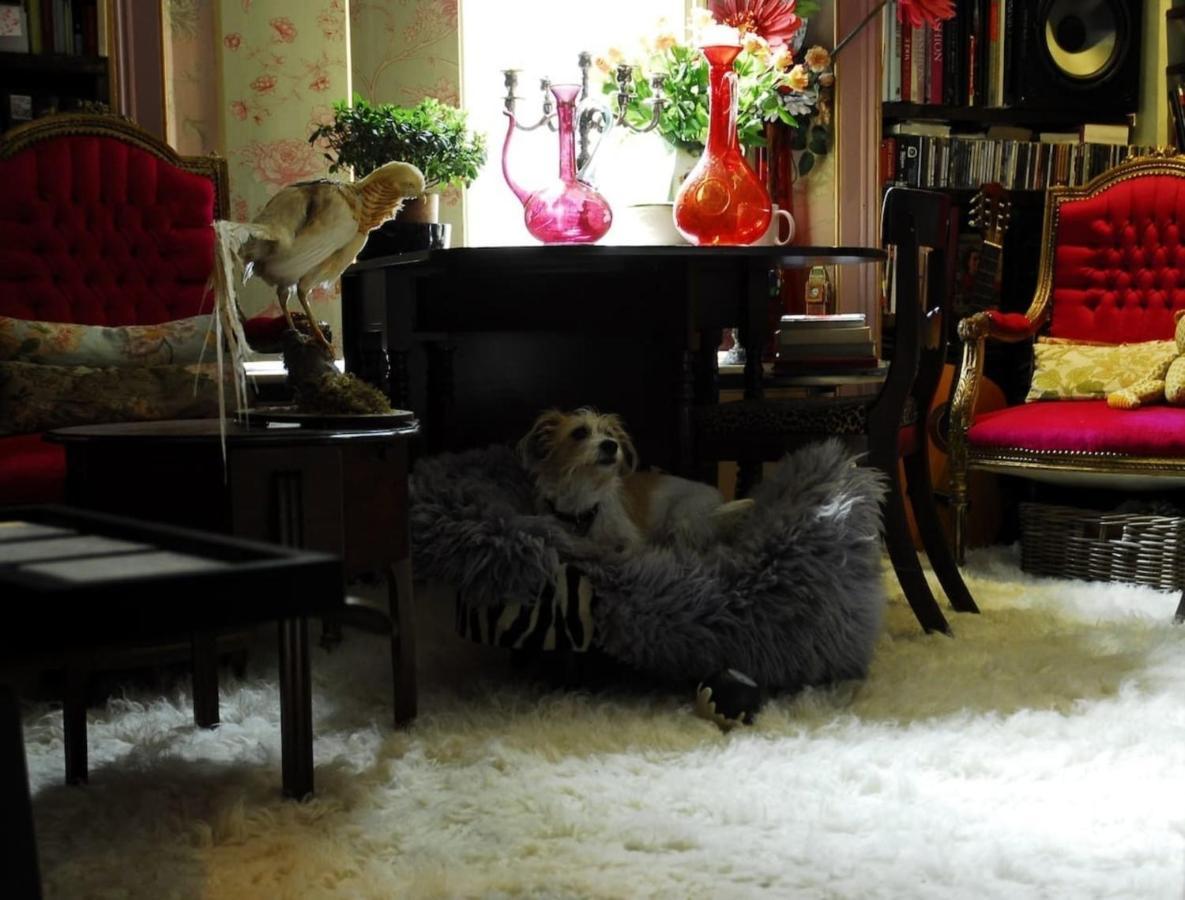 Boutique Bijoux Garden Flat In Vibrant Oval Appartement *