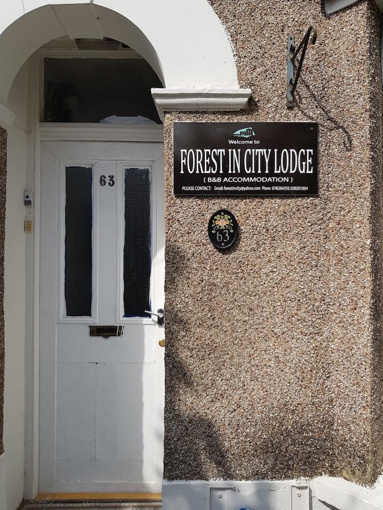 Forest In Bed & Breakfast