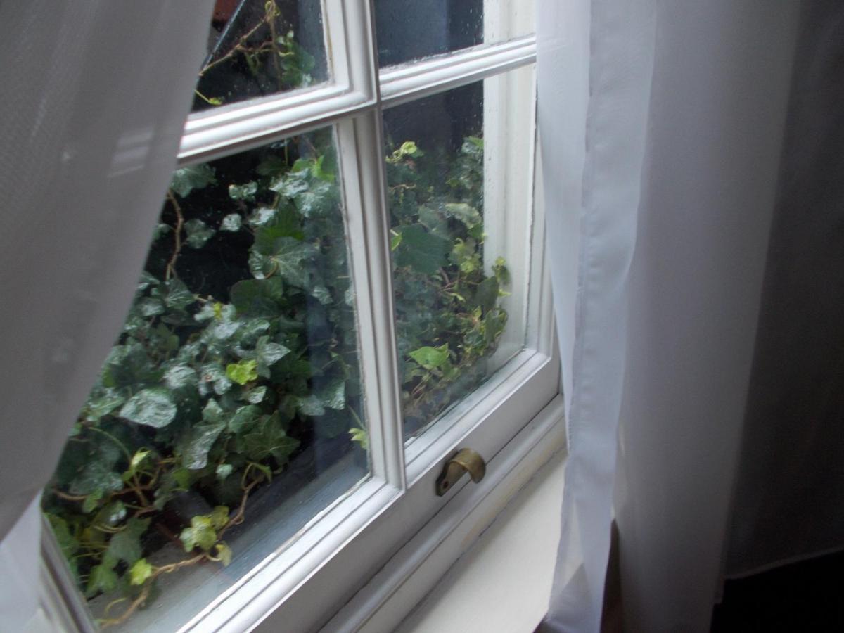 Double With Private Bathroom In Flat Centre Homestay London