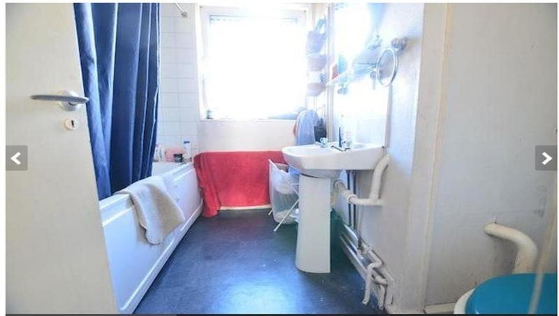 Séjour chez l'habitant Creative Flatshare