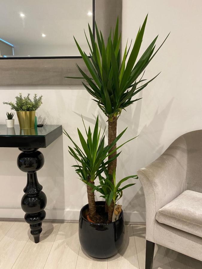 Appart hôtel Kings Road With En-suite Bath Londres