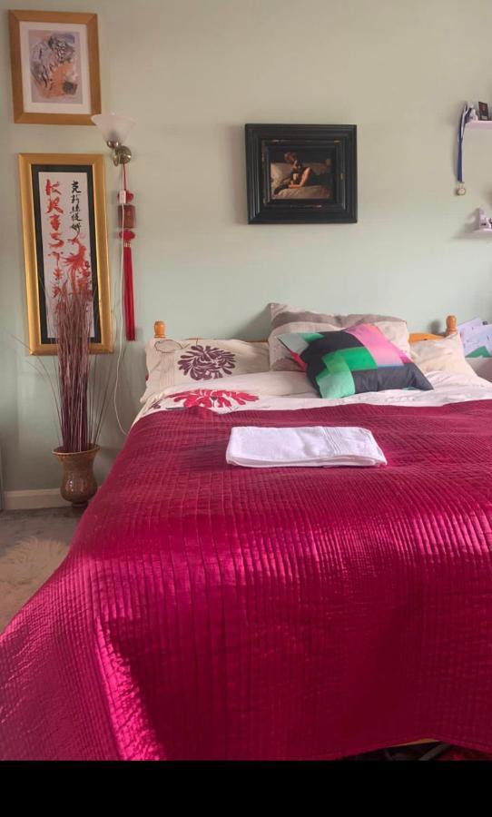 Cosy In Wembley Accommodatie bij particulieren