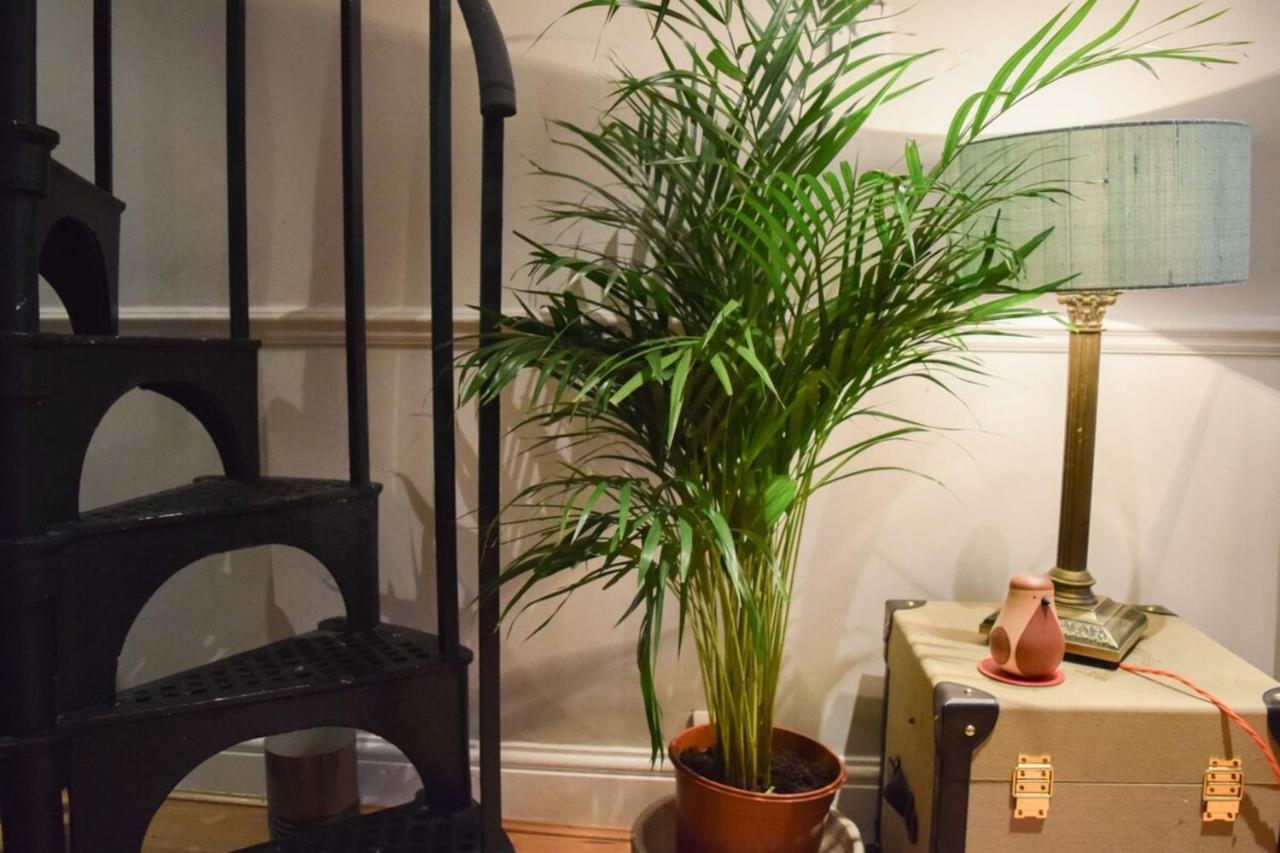 Stylish And Spacious With Terrace Londres