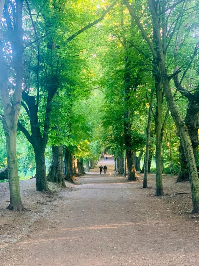 Apartamento Cozy In Hampstead Heath *