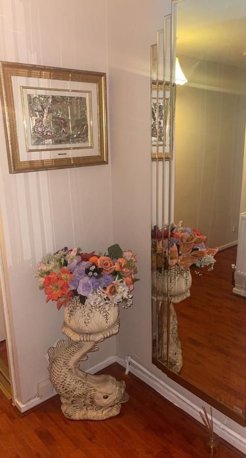 Apartamento Aa Luxury *