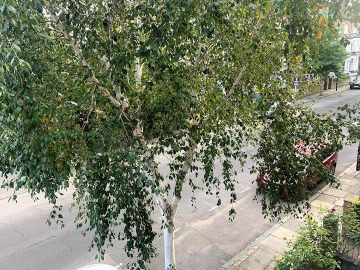 Lovely Spacious 1-bedroom Flat In Tufnell Park Close To Londres