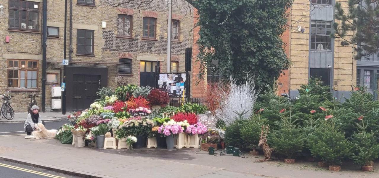 Apartment Amisha Modern Deluxe 2 Bed By Tower Bridge London