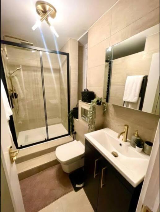 Luxury 3 Bedroom 3 And A Half Bathroom Flat In Swiss Appartement
