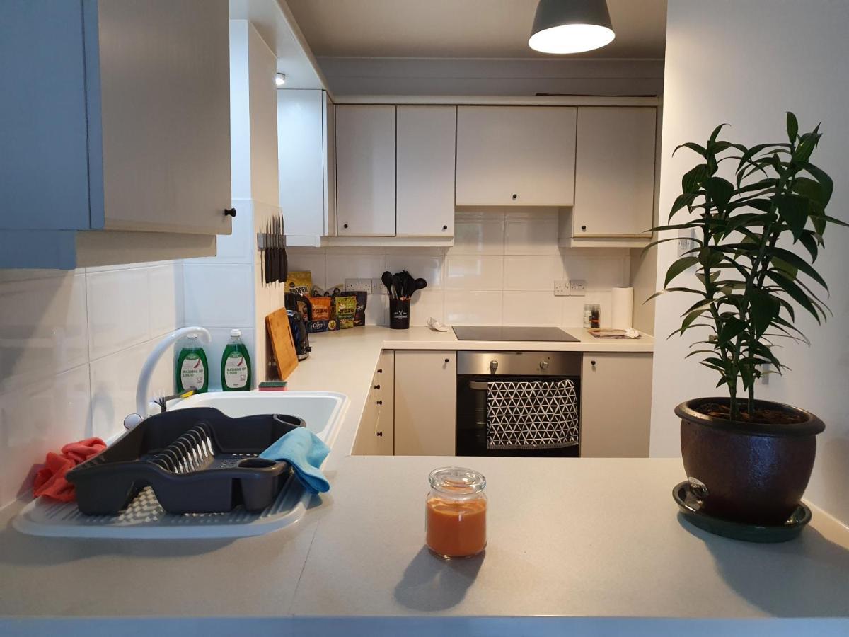 Luxury Private Mews Modern In The