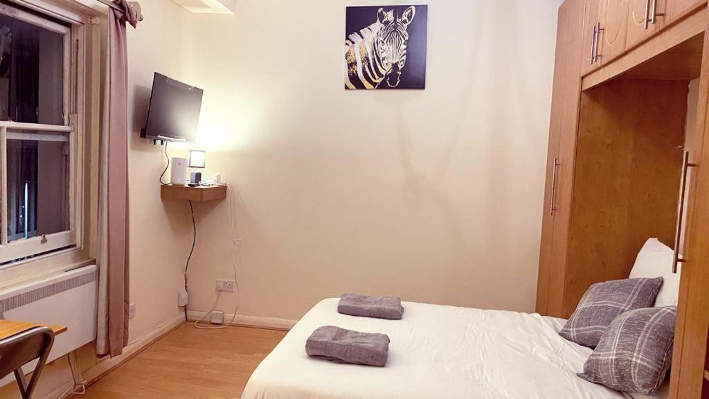 Stylish And Inviting Studio Flat In Coveted Chelsea Location