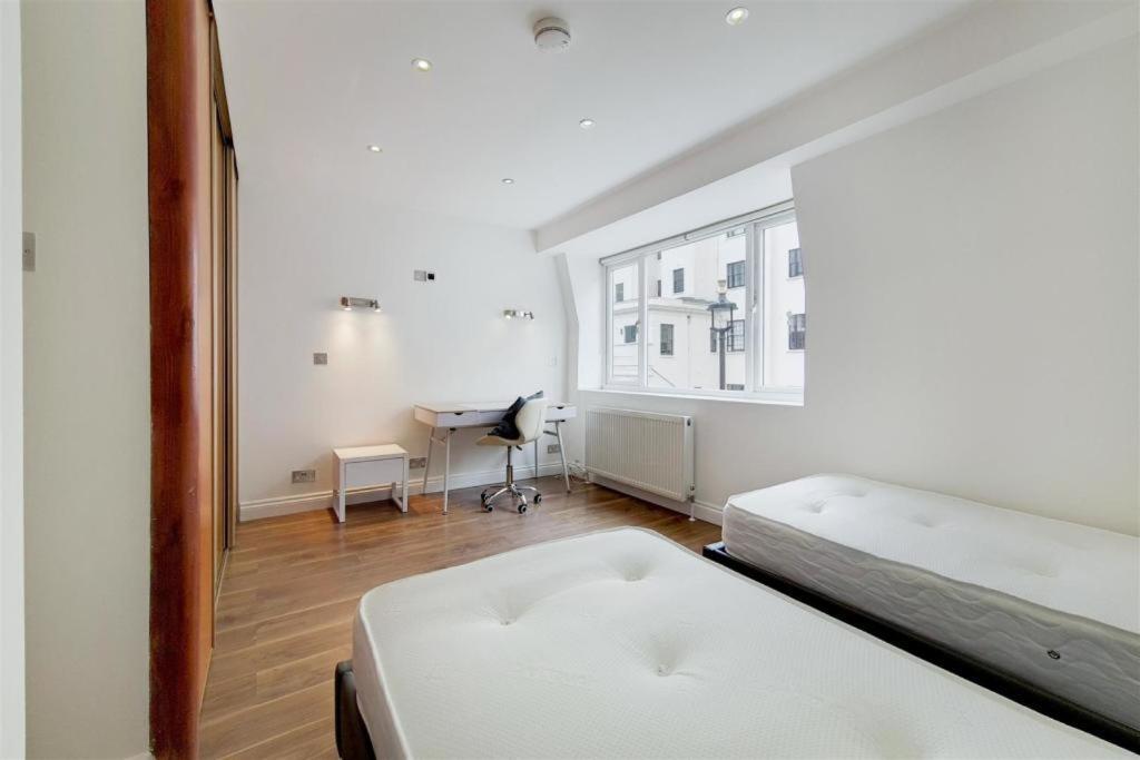 Stanhope Terrace Londres