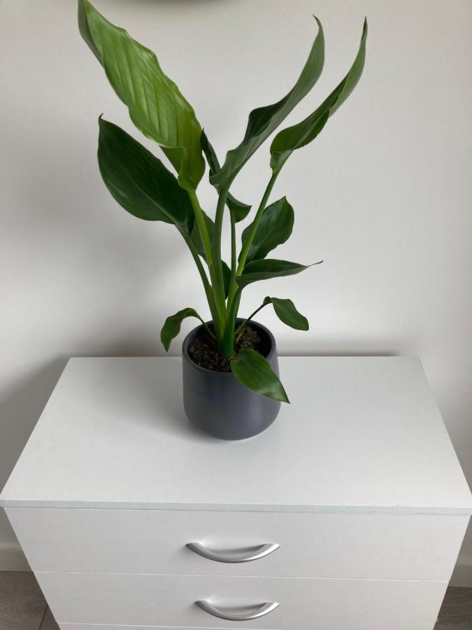 Hébergement de vacances Gresham - Close To Excel, Contractors, Relocators, Paid Parking Londres