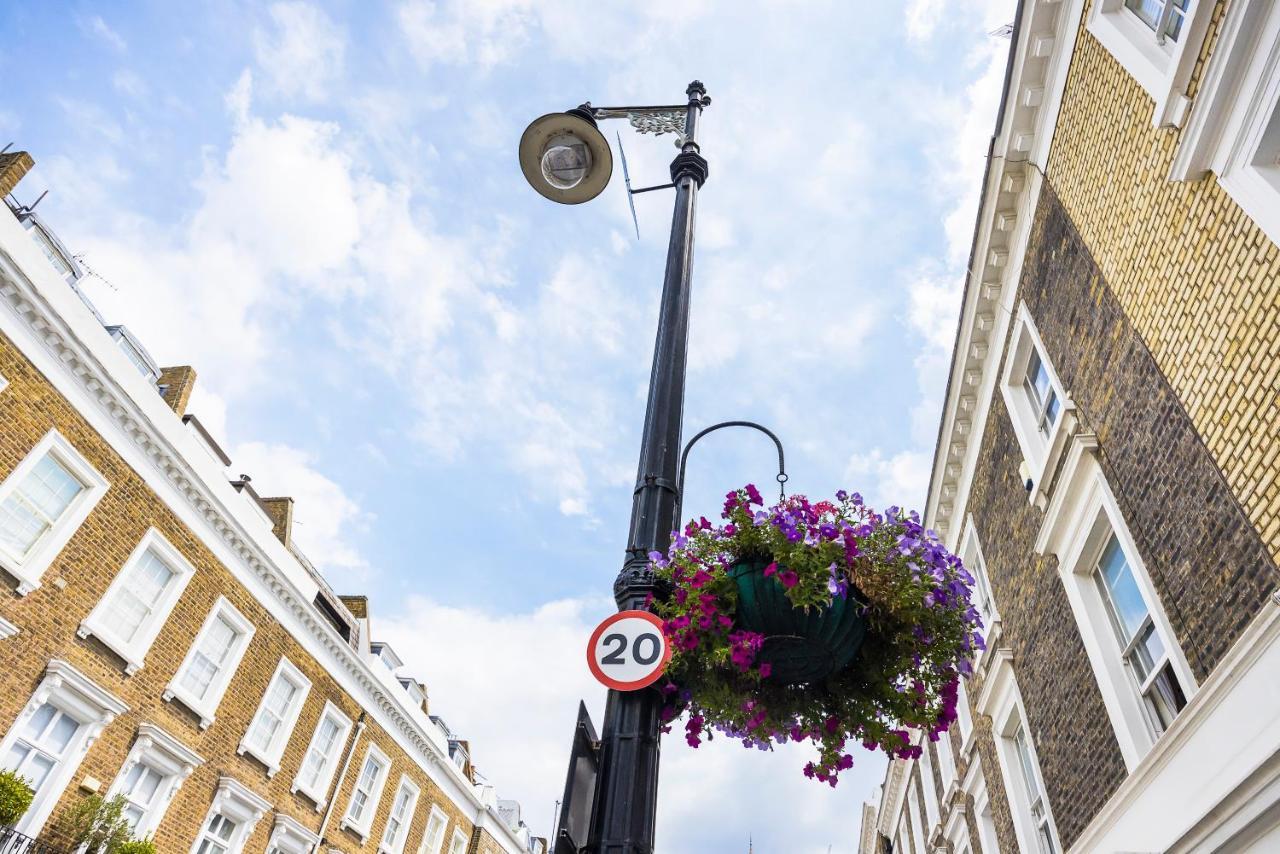 Pimlico Hub Londen