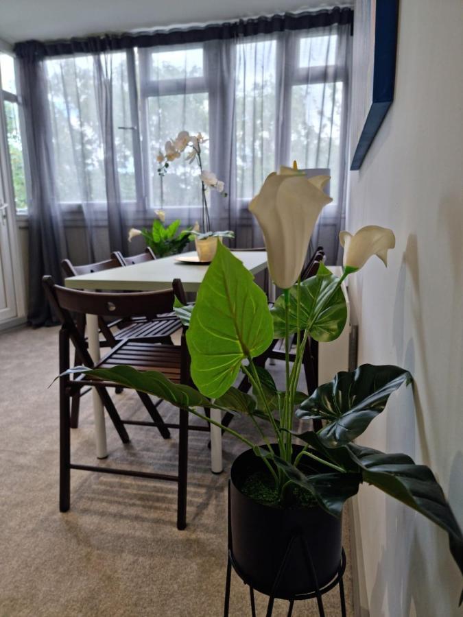 Apartamento Remarkable 3-bed In *