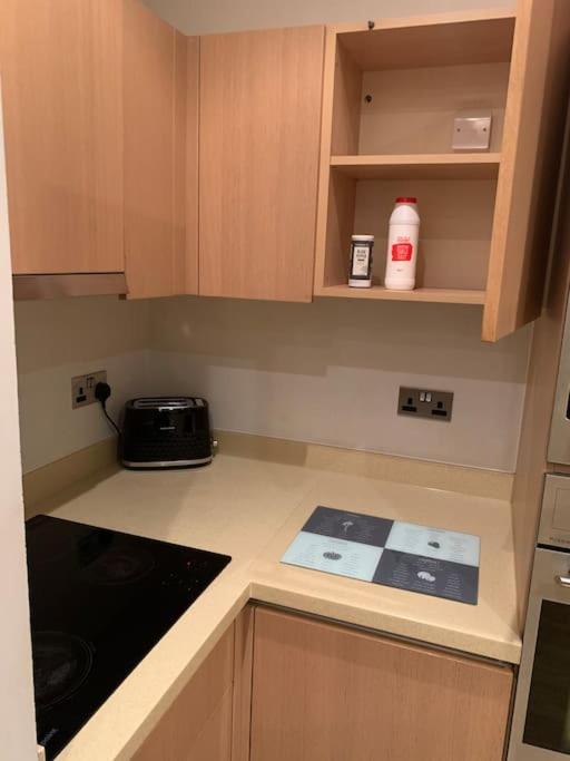 Appartement Stunning 2 Bed Flat! Centrally Located In London, Uk!