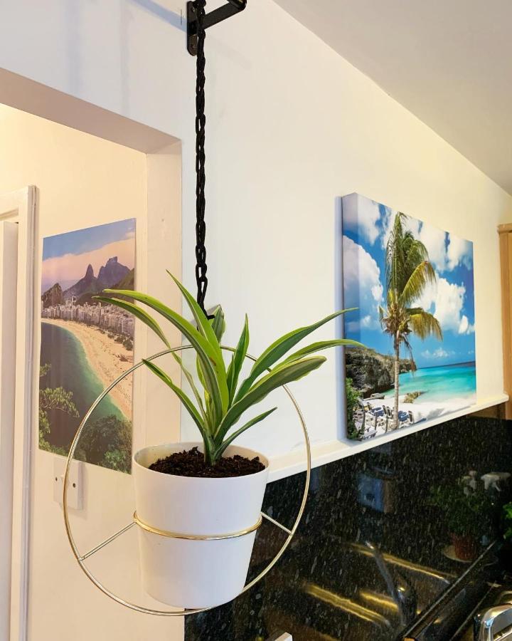 Apartment Garden Beautiful Cozy Flat , Recent Decorated. *