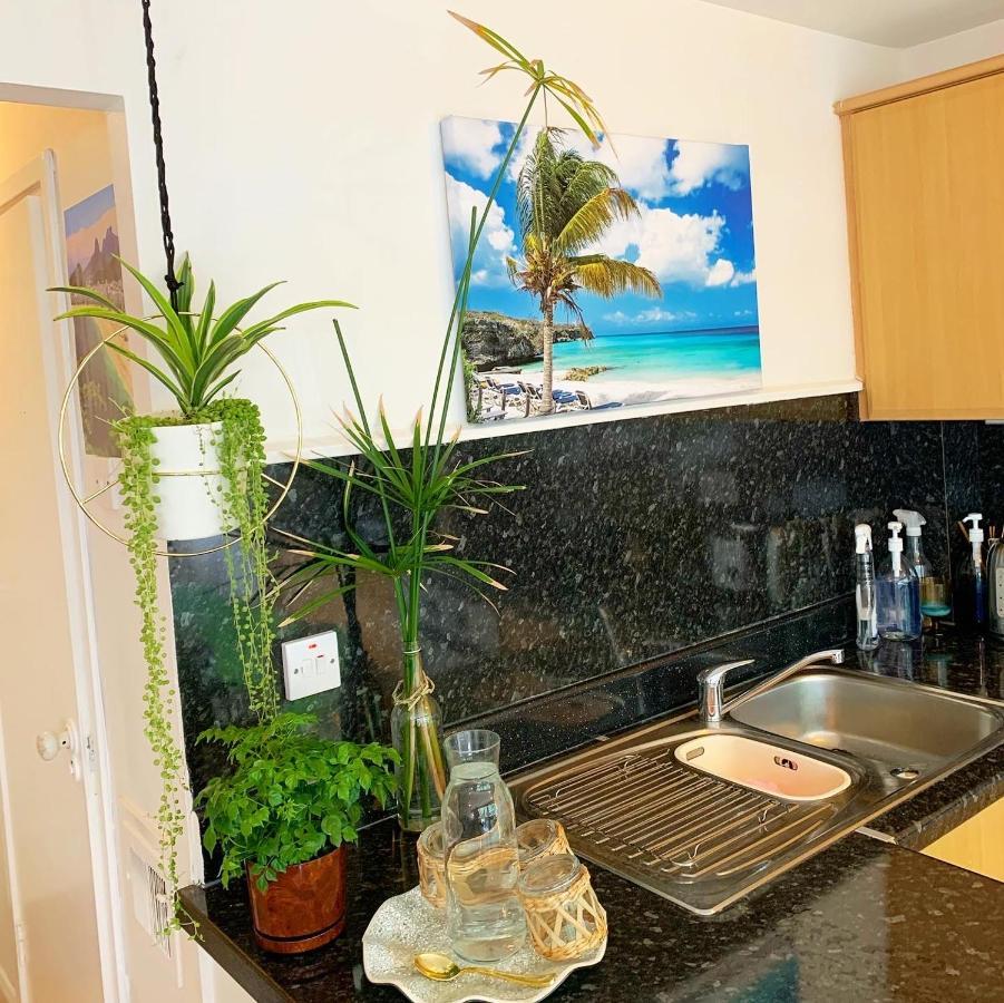 Garden Beautiful Cozy Flat , Recent Decorated. Apartment *