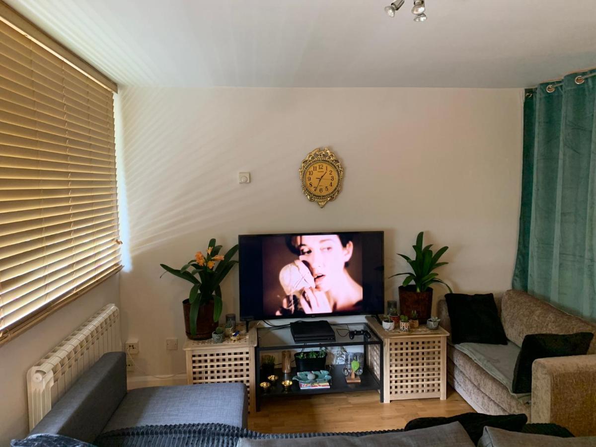 Garden Beautiful Cozy Flat , Recent Decorated. London