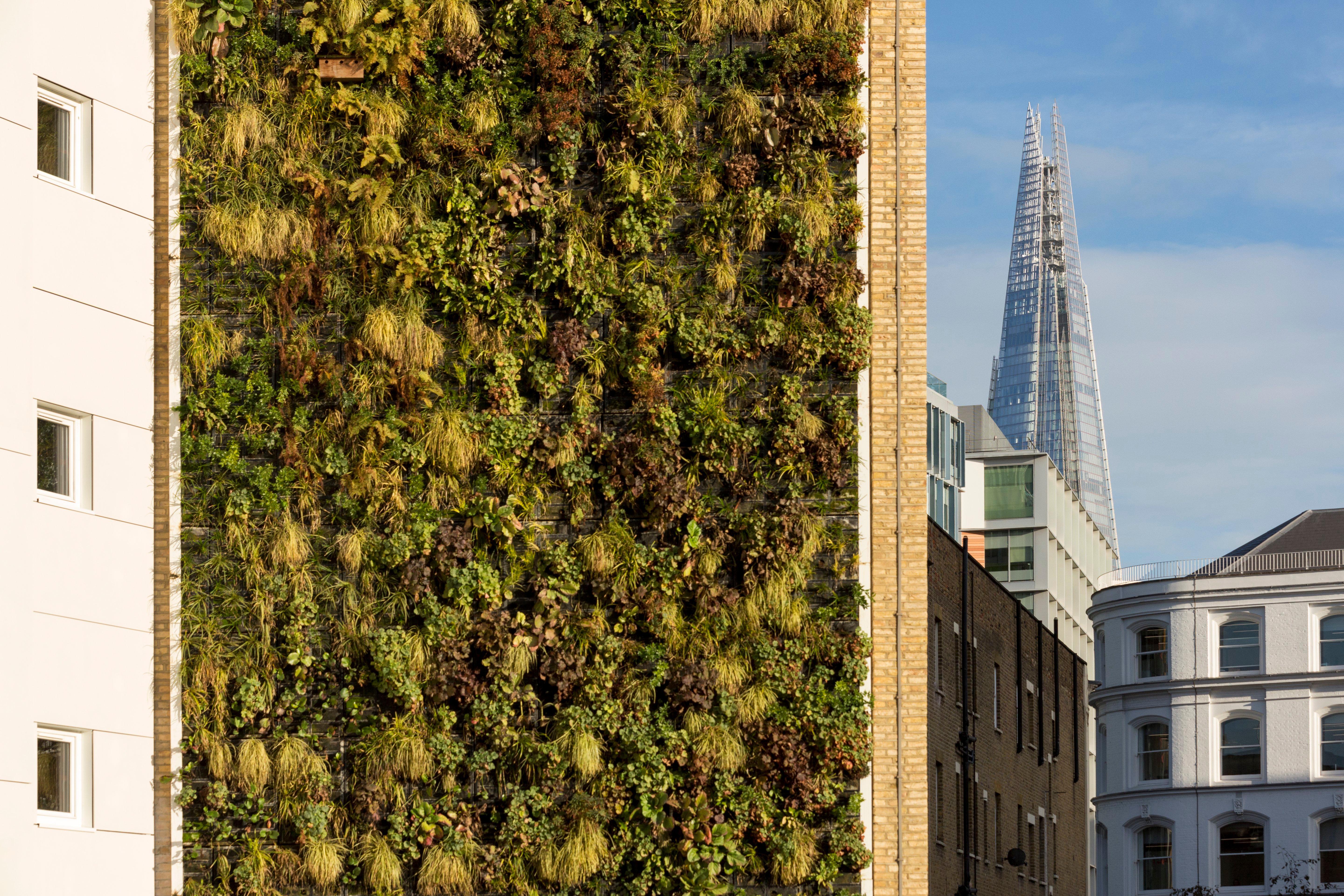 Express Southwark By Ihg Londres