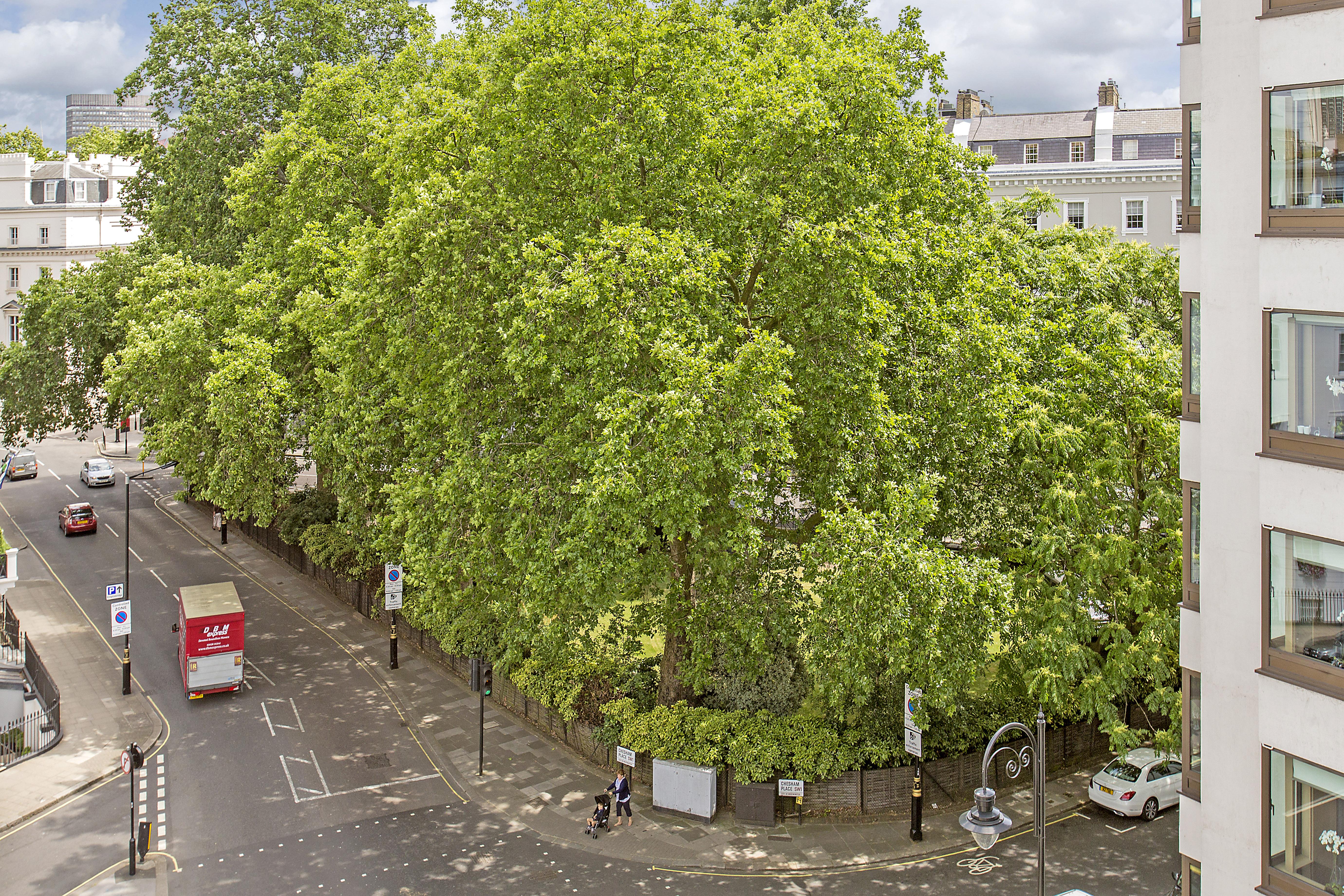 Chesham Court Knightsbridge Apartahotel