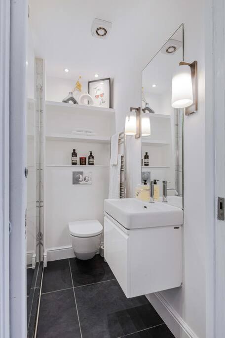 Lady On The Lane- 2 Bed Primrose Hill Appartement *