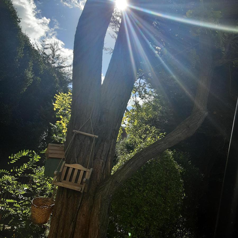 Hospedagem domiciliar The Oak Tree *