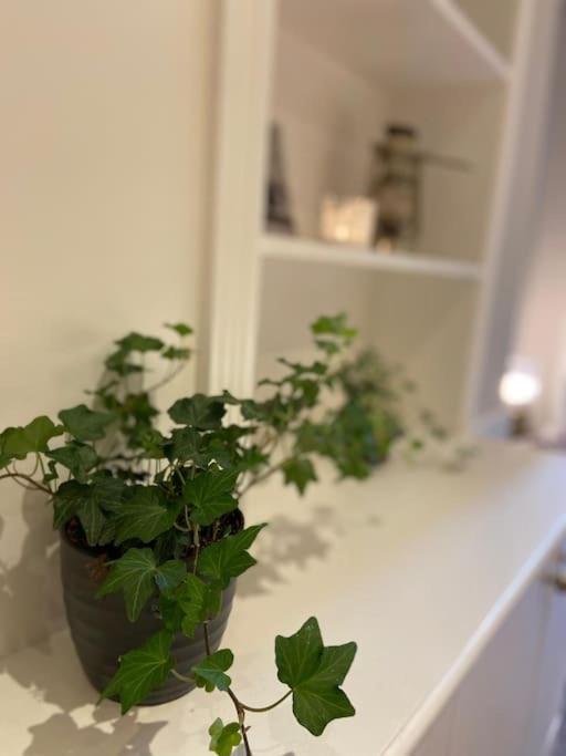 Ivy House-period Garden Flat Chelsea/fulham * Londres