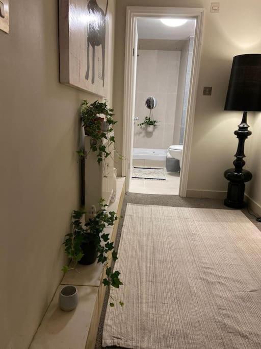 Appartement Ivy House-period Garden Flat Chelsea/fulham