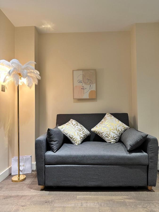 1 Spacious Luxury Bedroom Flat On Oxford St, Next To Selfridges Apartment London