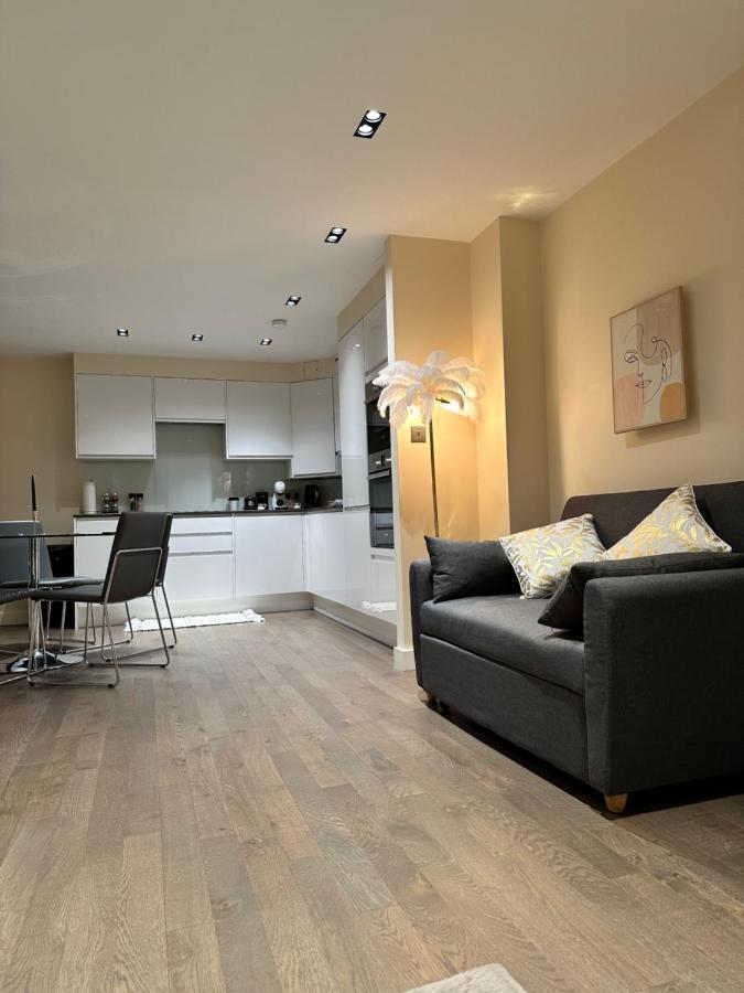 1 Spacious Luxury Bedroom Flat On Oxford St, Next To Selfridges Apartment