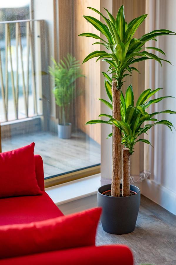 Luxury 2 Bedrooms - 2 Bathrooms - F5