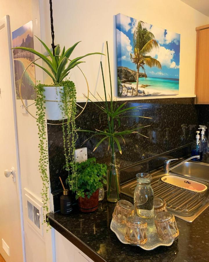 Garden Beautiful Cozy Flat , Recent Decorated. London