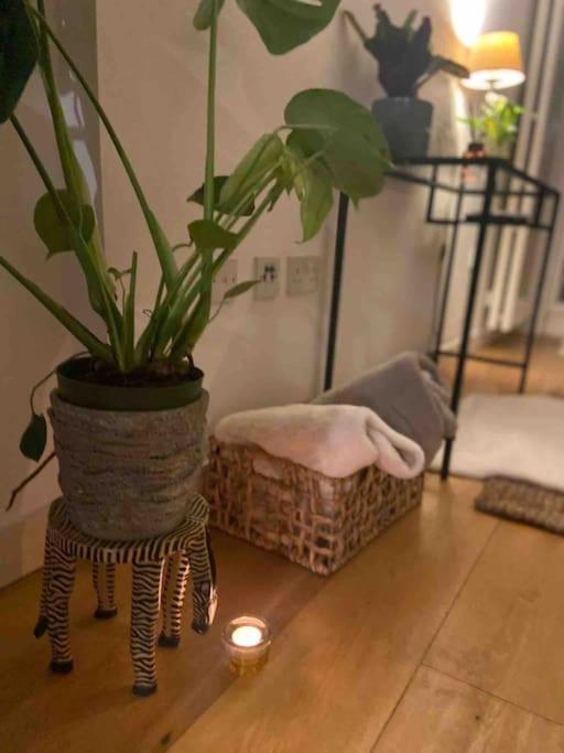 Spitalfields Market Penthouse Flat With Balcony Appartement