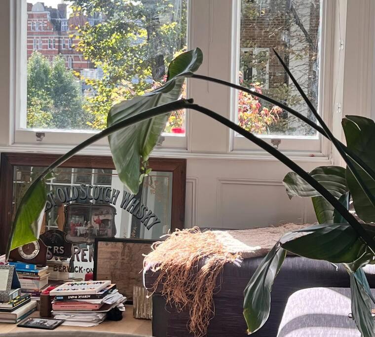 Appartement Lovely Flat Near Holland Park *