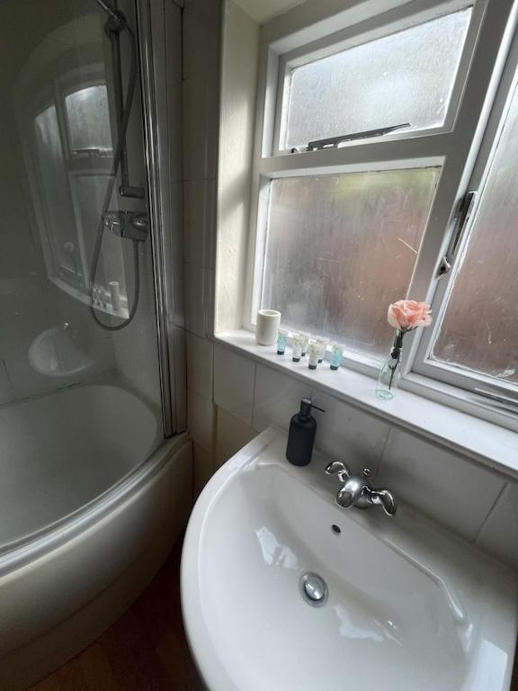 Apartment Beautiful Ground Floor Garden Flat London