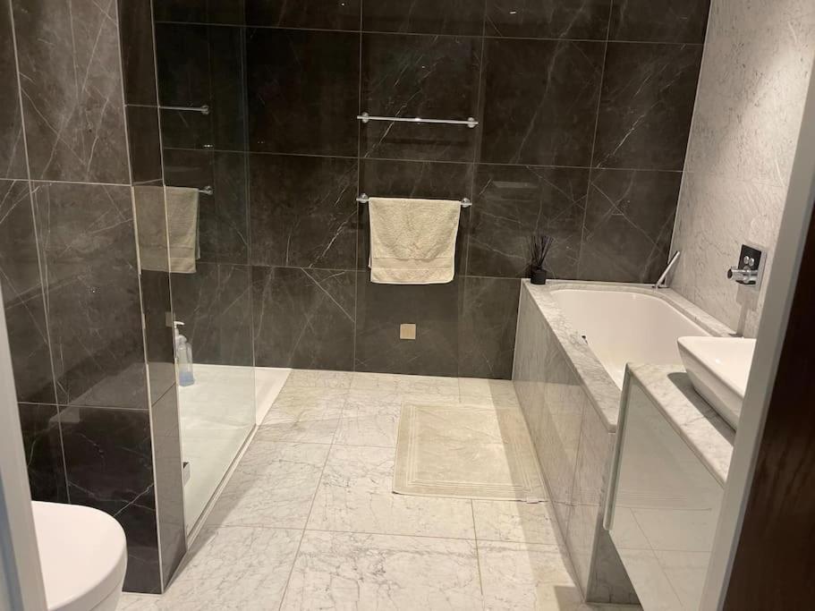 Large Luxury Penthouse With Free Parking Garage *