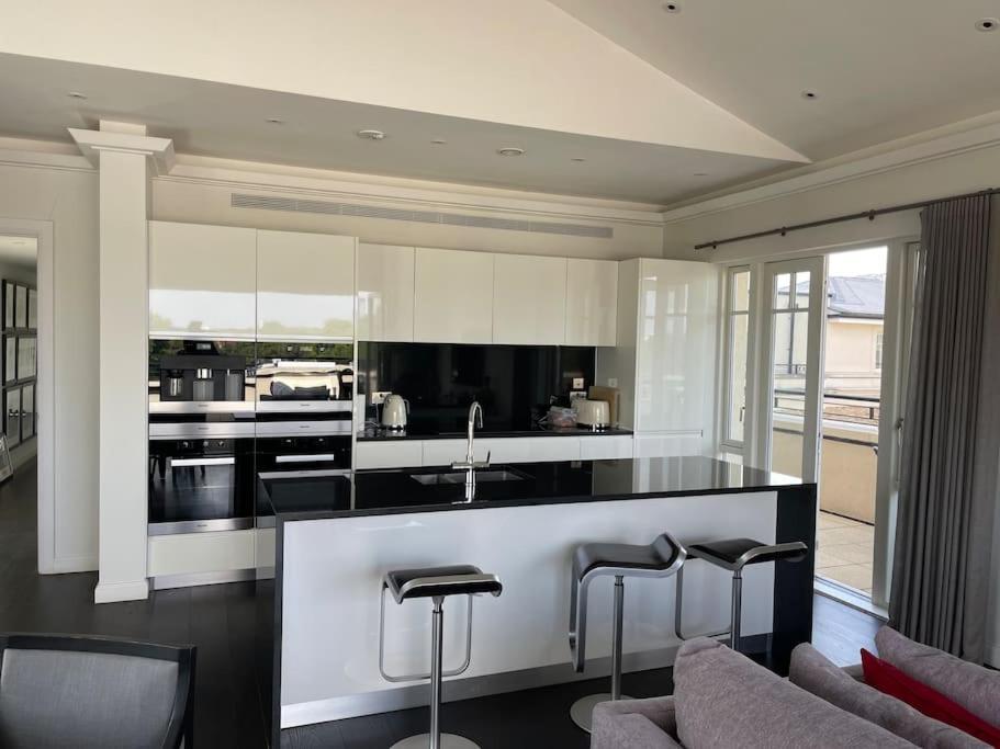 Large Luxury Penthouse With Free Parking Garage * Londres
