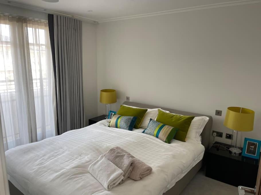 Large Luxury Penthouse With Free Parking Garage Apartment London