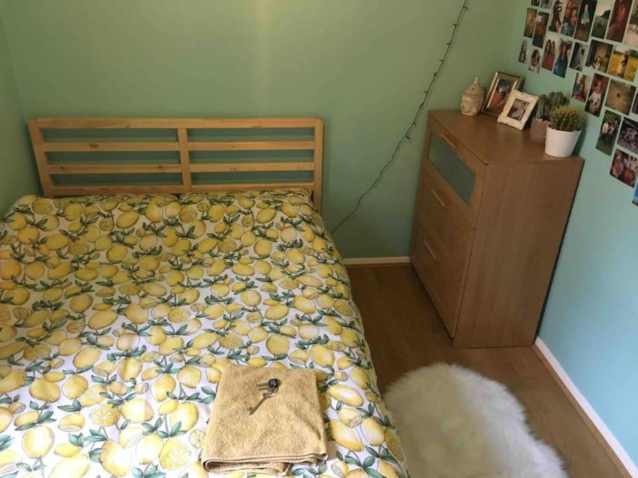 Apartamento Aaron Hill