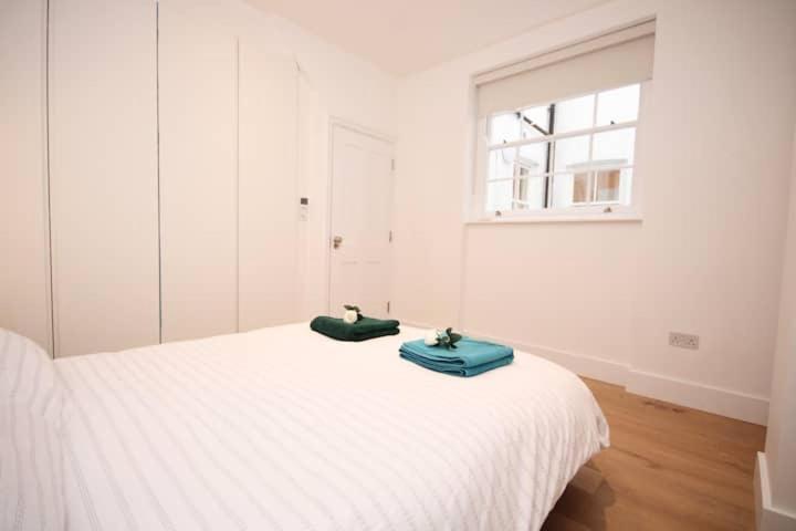Apartment Splendid Flat Near Baker Street Station