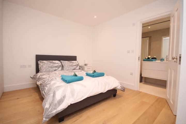 Splendid Flat Near Baker Street Station Apartment London
