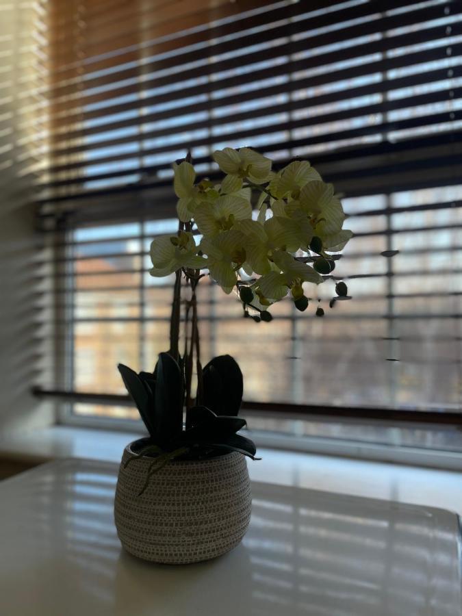 Stunning 1 Bed Flat In The Heart Of Greenwich Londres