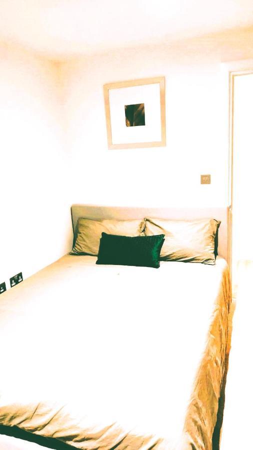 2 Bedroom Us Embassy Eye And Riverside View Panoramic Balcony Londres