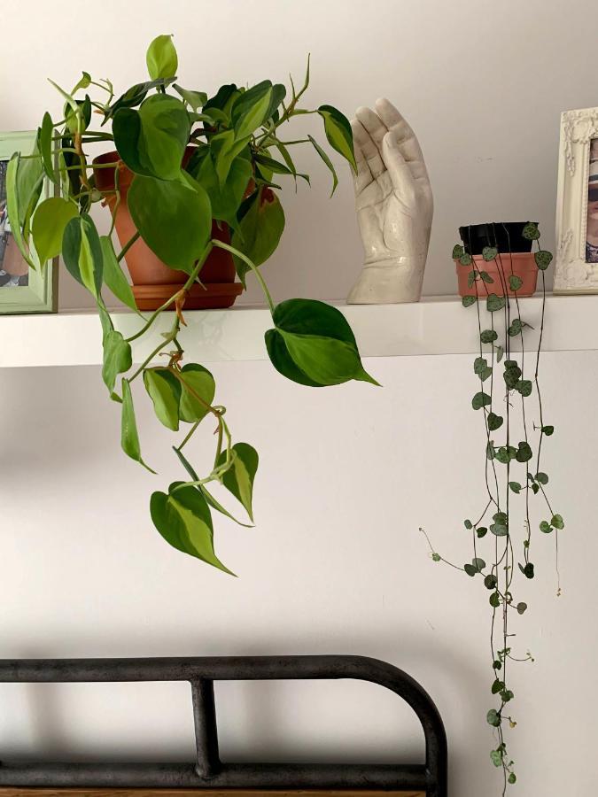 Apartamento Artist In Islington, Shoreditch, Old St