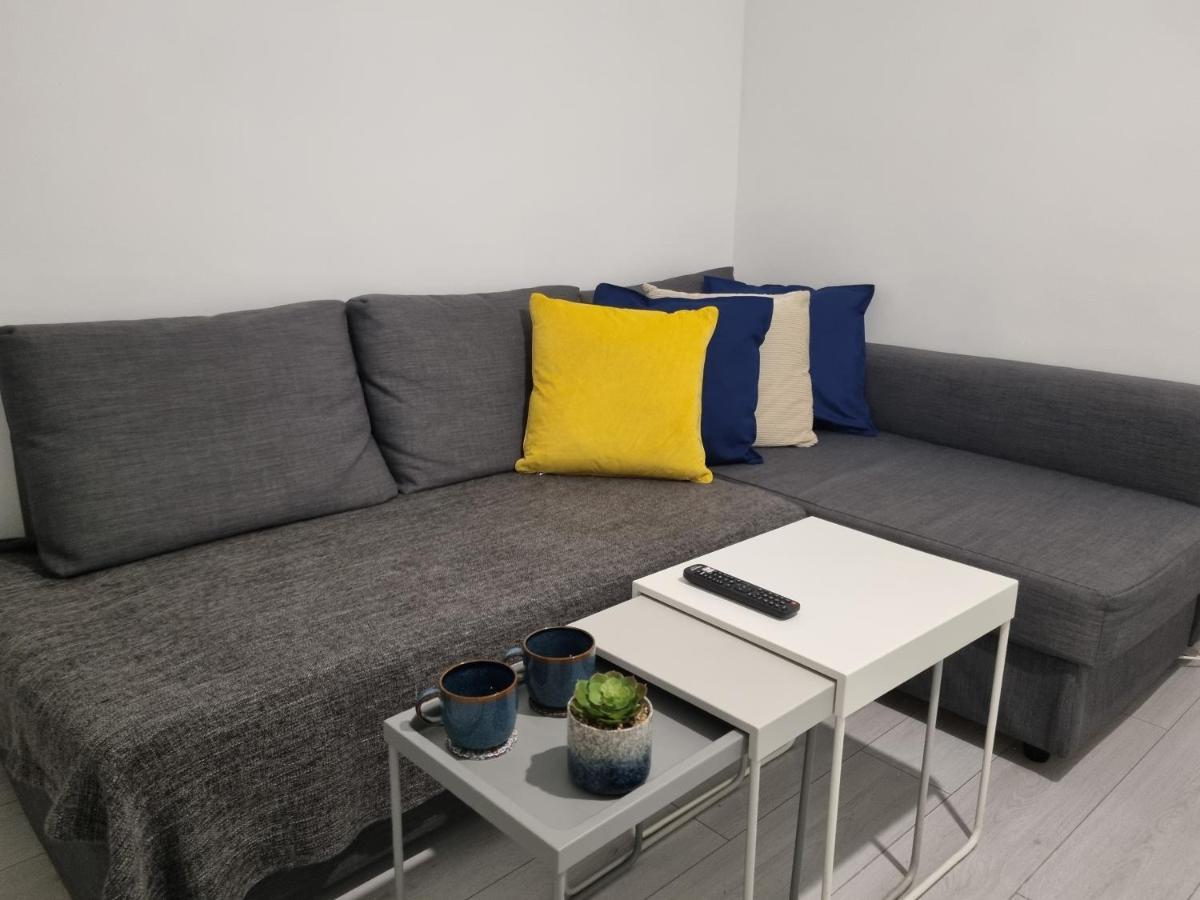 Wembley Stadium And Ovo Arena Apartment London